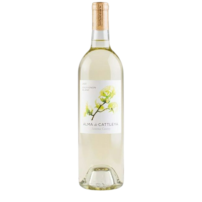 ソーヴィニヨン・ブラン ソノマ・カウンティ　24　アルマ・デ・カトレア　Sauvignon Blanc Sonoma 24 Alma De Cattleya