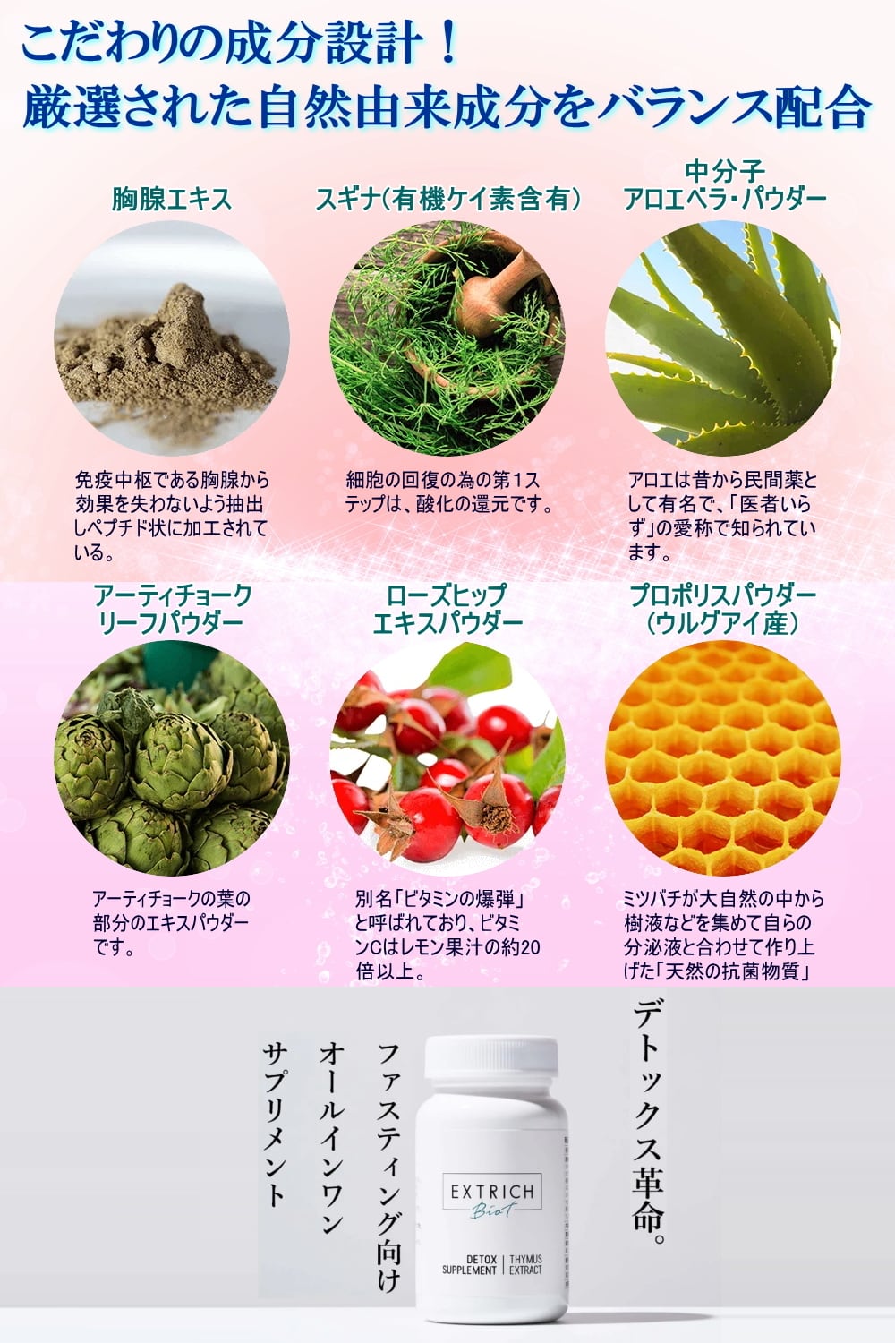 エキストリッチ ビオティ デトックスサプリ