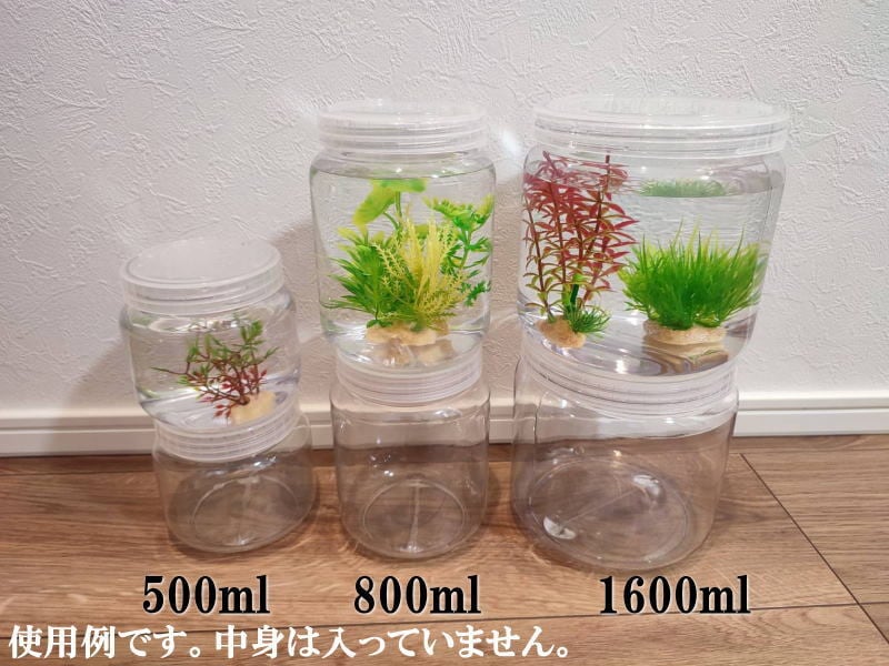 飼育容器1600ml昆虫飼育ケース2個セット（幼虫、昆虫、カブトムシ