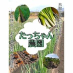 【常温】白ネギ 10kg~ Mサイズ(~1cm程度) 白ねぎ 長ねぎ B品