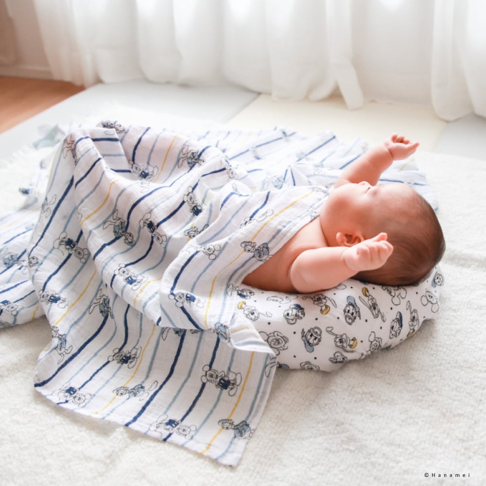 日本正規品 aden+anais(エイデンアンドアネイ) ディズニーベビー