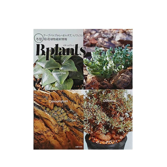 Bizarre Plants -Winter type-