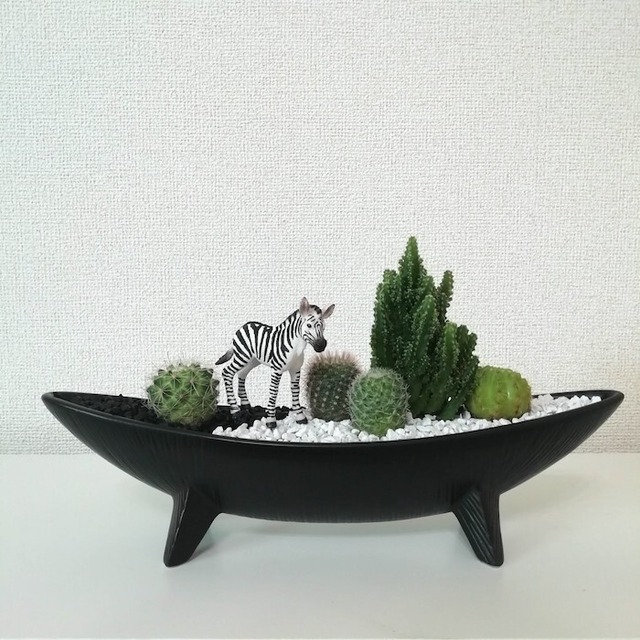 【受注生産品】しまうま サボテン sa04eb 観葉植物 さぼてん カクタス インテリア グリーン ミニチュア かわいい 動物 フィギュア