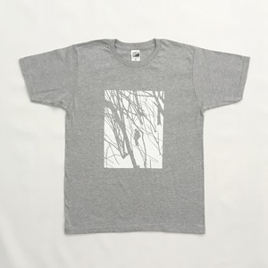 Ｔシャツ（杢グレー）