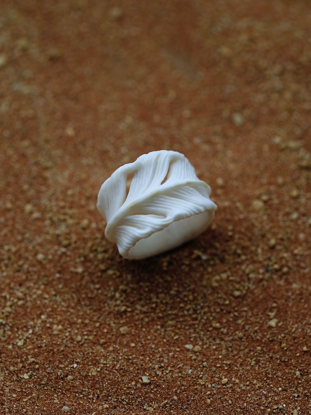 ring (#19G) _ 003