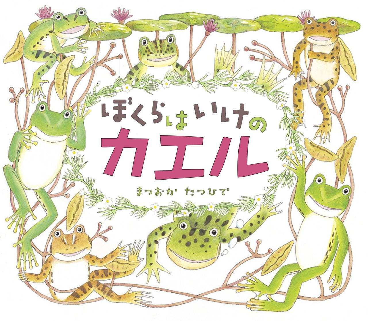 カエルの科学絵本 ぼくらはいけのカエル | caeru
