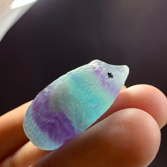 キュートなフローライトハリネズミさん