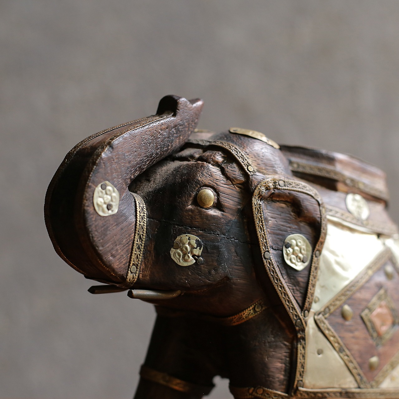 インドからやって来た、プリミティブな象 7