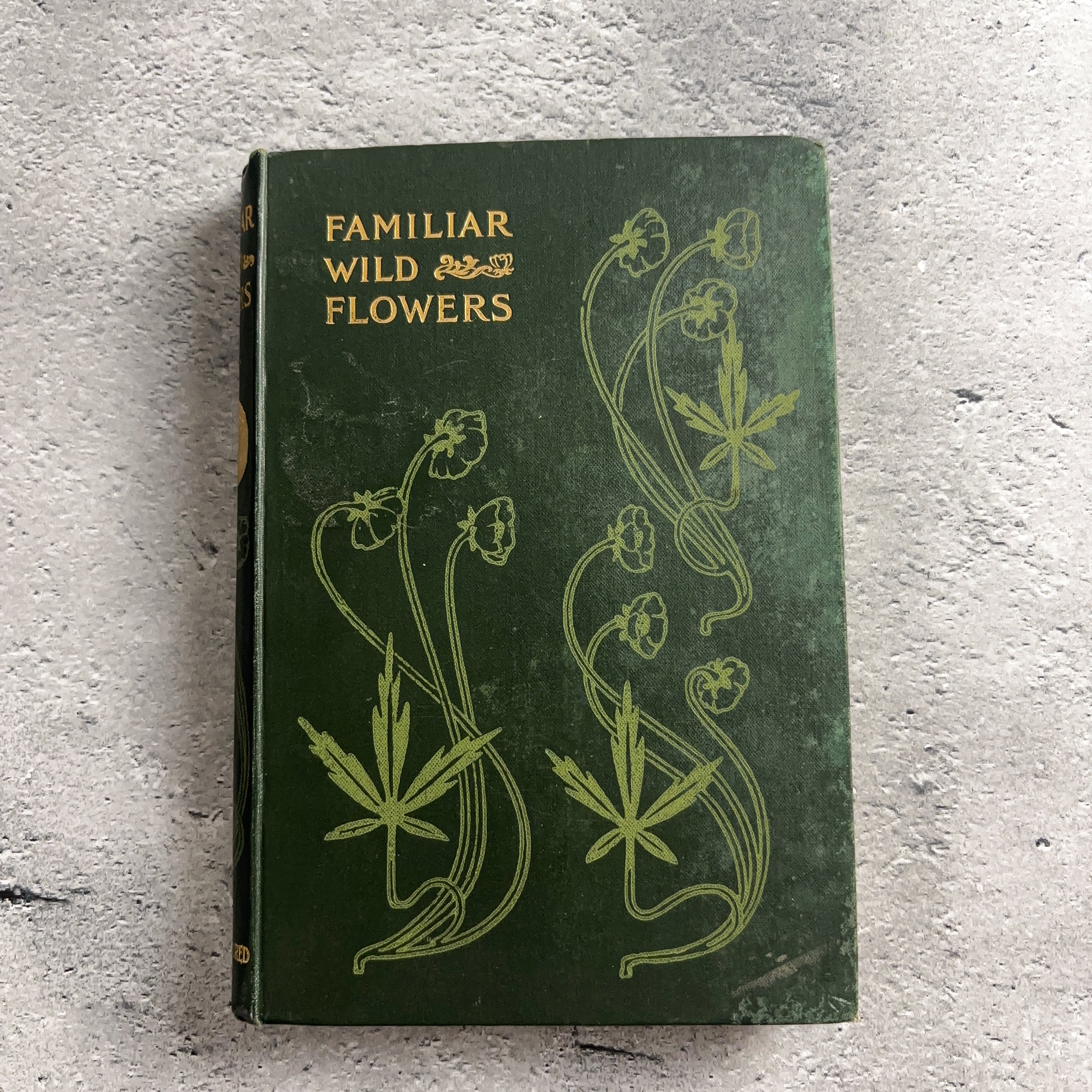 イギリス アンティーク VOL.7 40プレート 植物図鑑 野の花 ボタニカル 古書 洋書 ガーデニング【ZUKAN10】 | Pay ID イギリス アンティーク VOL.7 40プレート 植物図鑑 野の花 ボタニカル 古書 洋書 ガーデニング【ZUKAN10】 | Pay ID