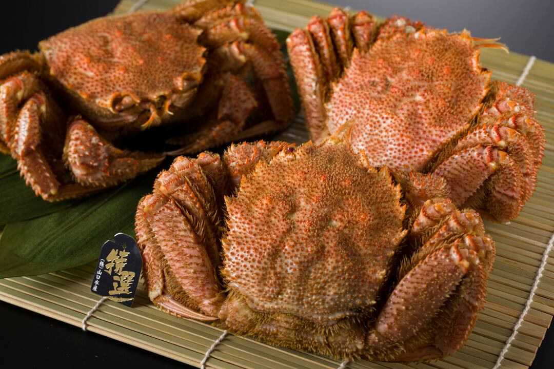 山口水産　匠の極上仕上げ　訳あり１キログラム前後　【詰め合わせ・冷凍】