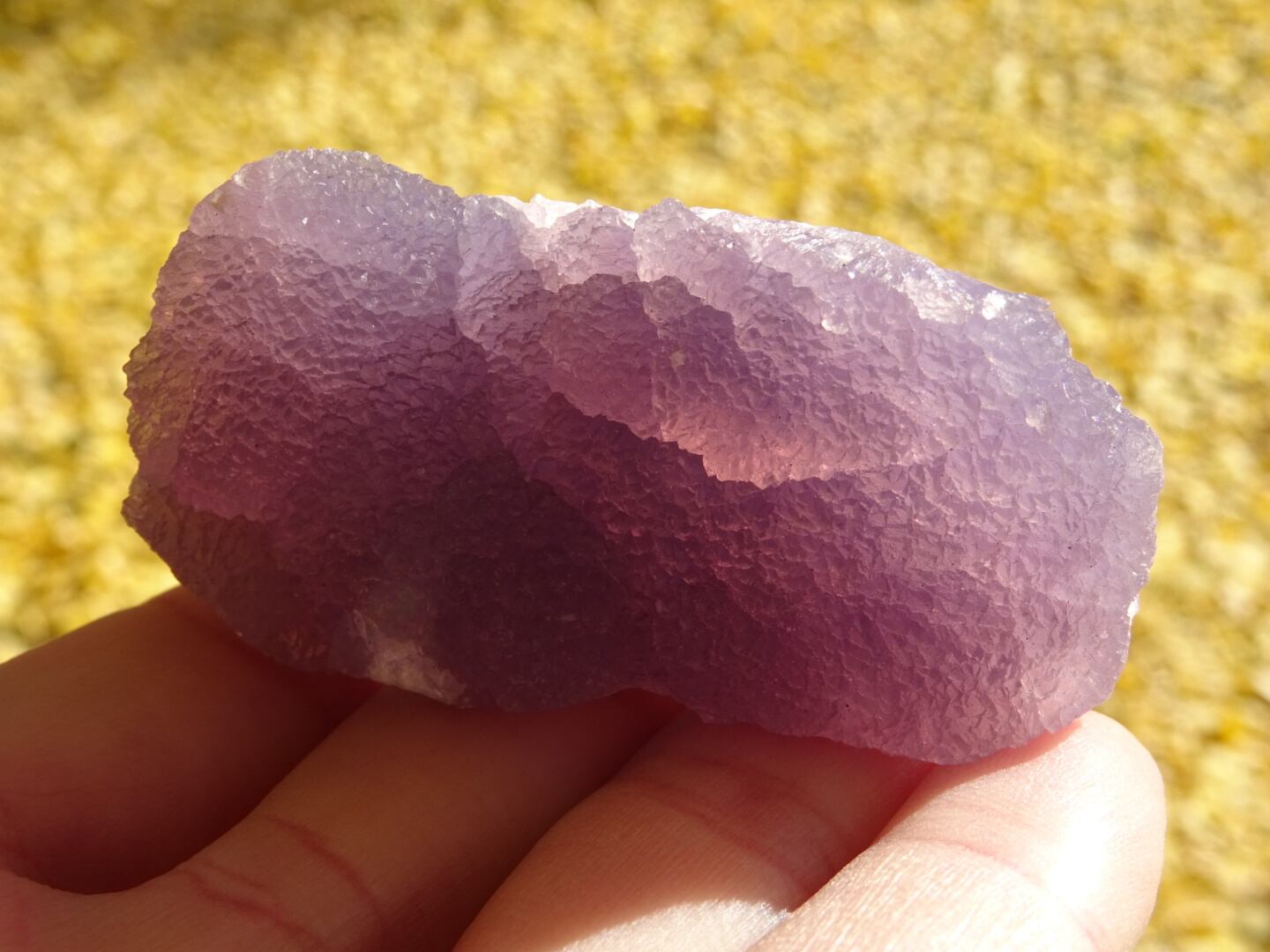 ハンガリーアメジスト ~Fairy's Lavender~