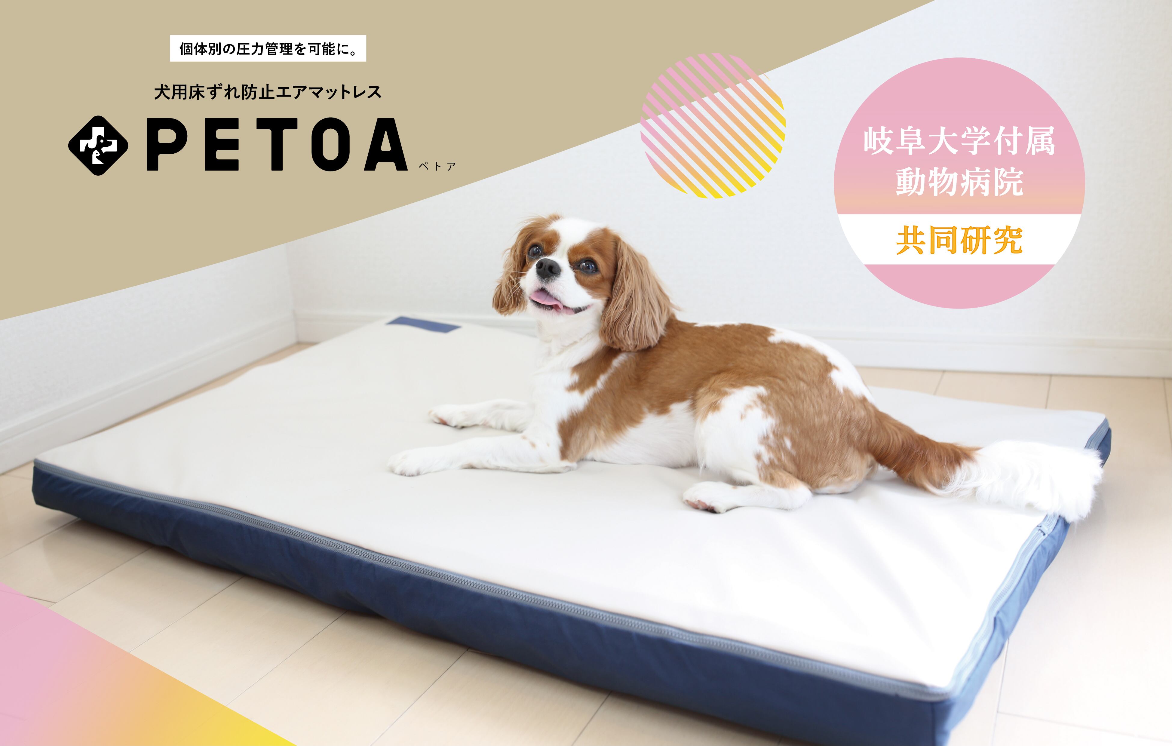犬用床ずれ防止エアマット PETOA（ペトア）大型犬用 ベージュ | 犬猫