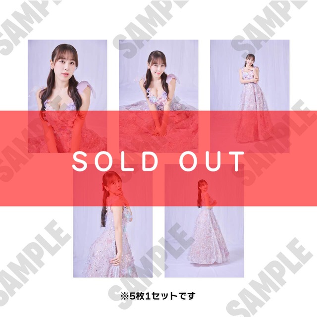 【音羽美奈(みなぽち)ピアノコンサート開催記念】ブロマイド5種1セット【ZR0582】