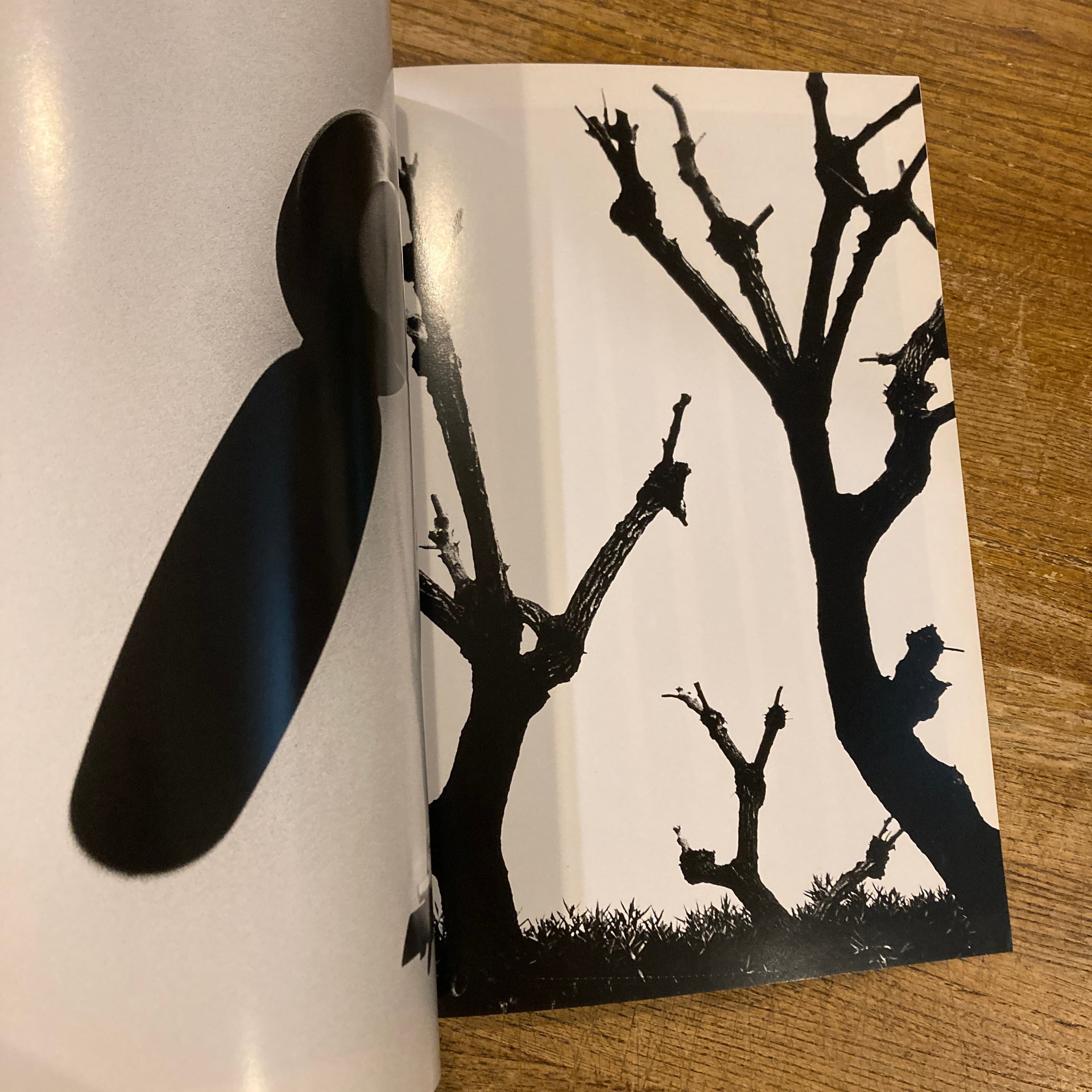 森山大道 写真集　Fragments　ほぼ新品 Fragments / 森山大道 | 百年
