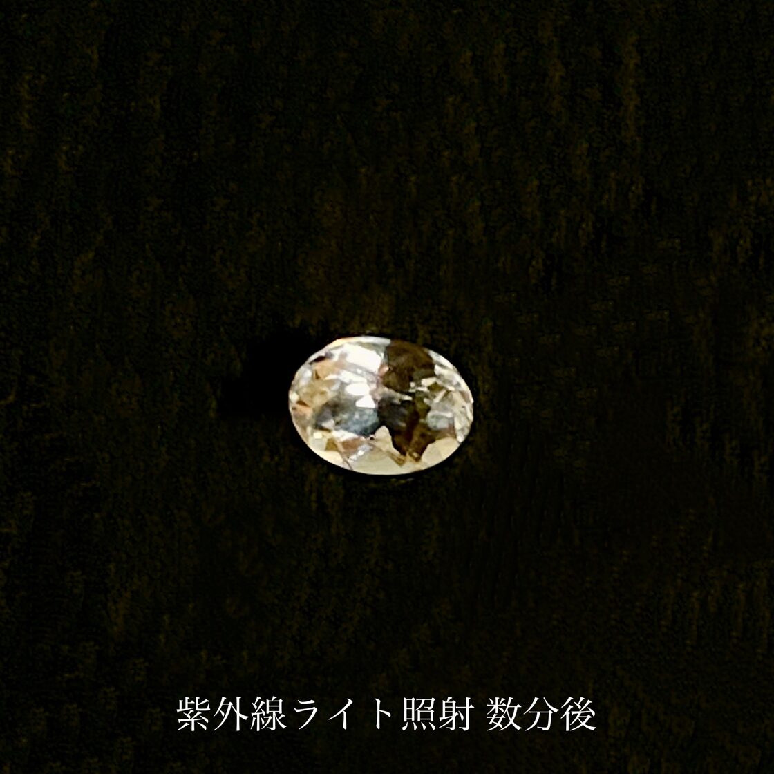 高品質 テネブレッセンス スキャポライト ルース 0.15ct | PAY ID