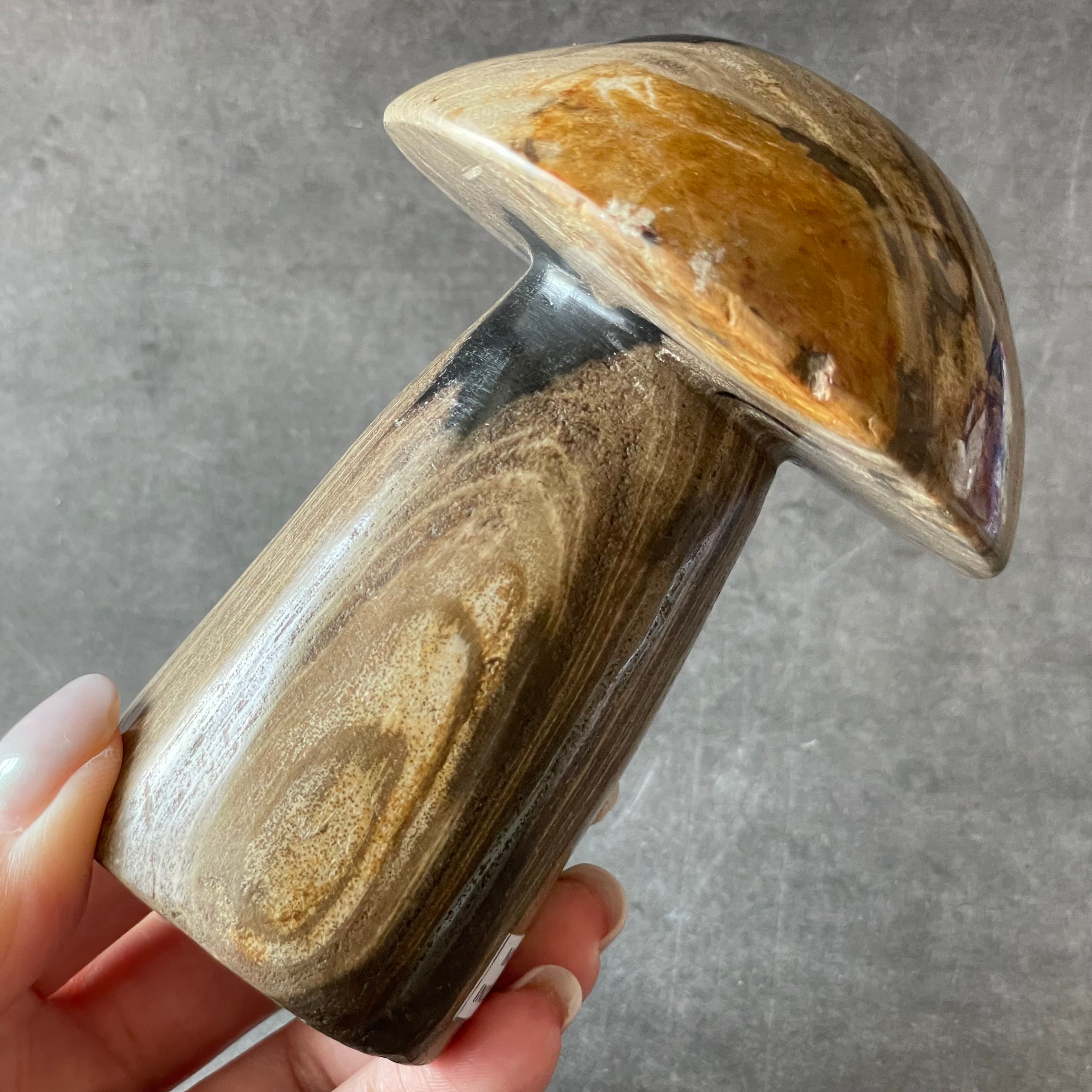 インドネシア産♦︎Petrified Wood ペトリファイドウッド|mushroom
