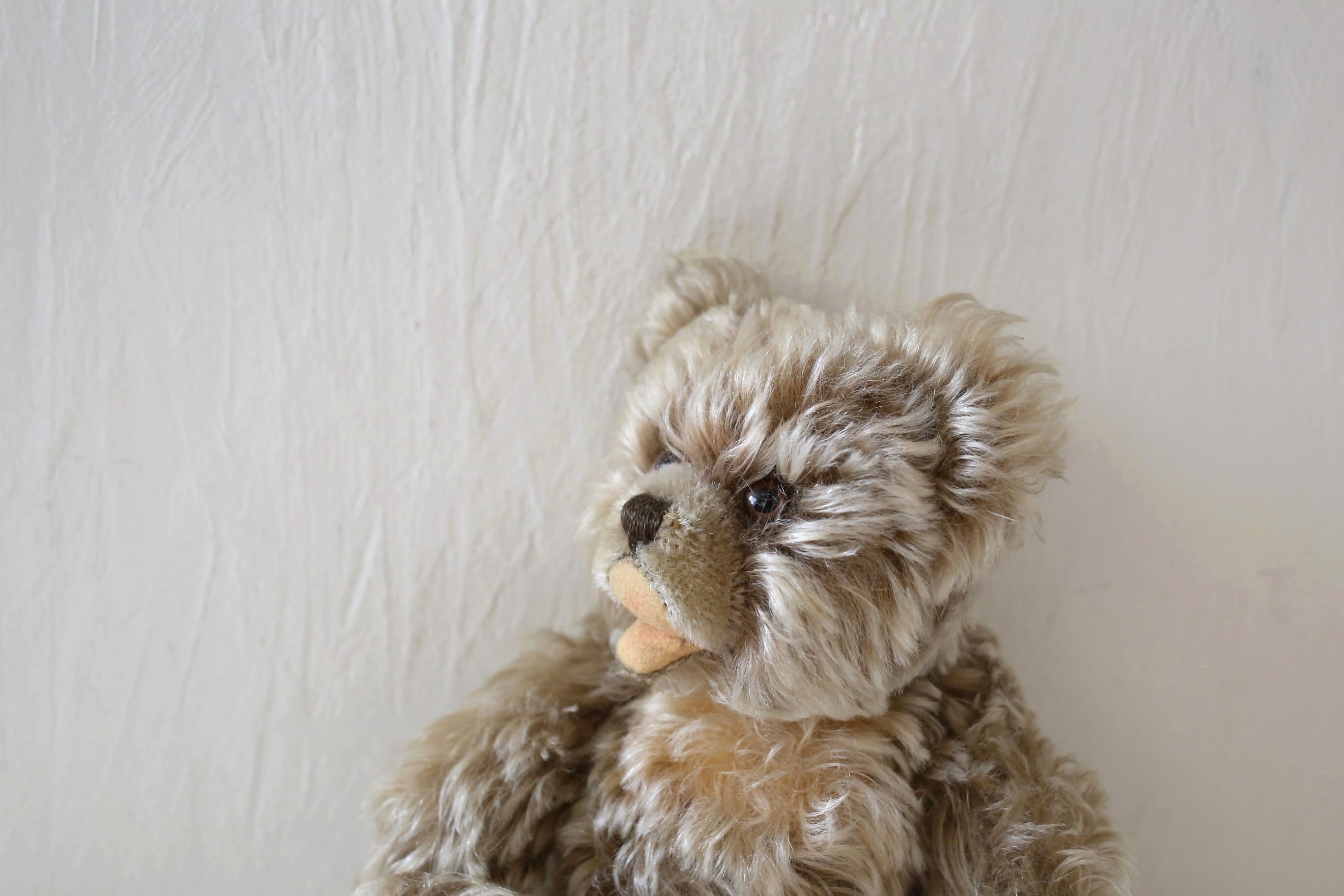 ドイツ ヴィンテージ Steiff シュタイフ テディベア『Zotty