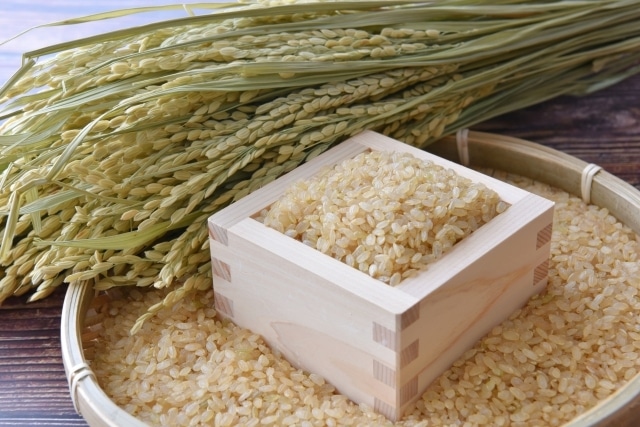 【新潟・西村農園】米どころの職人米・つややか「コシヒカリ：玄米」2キロ　