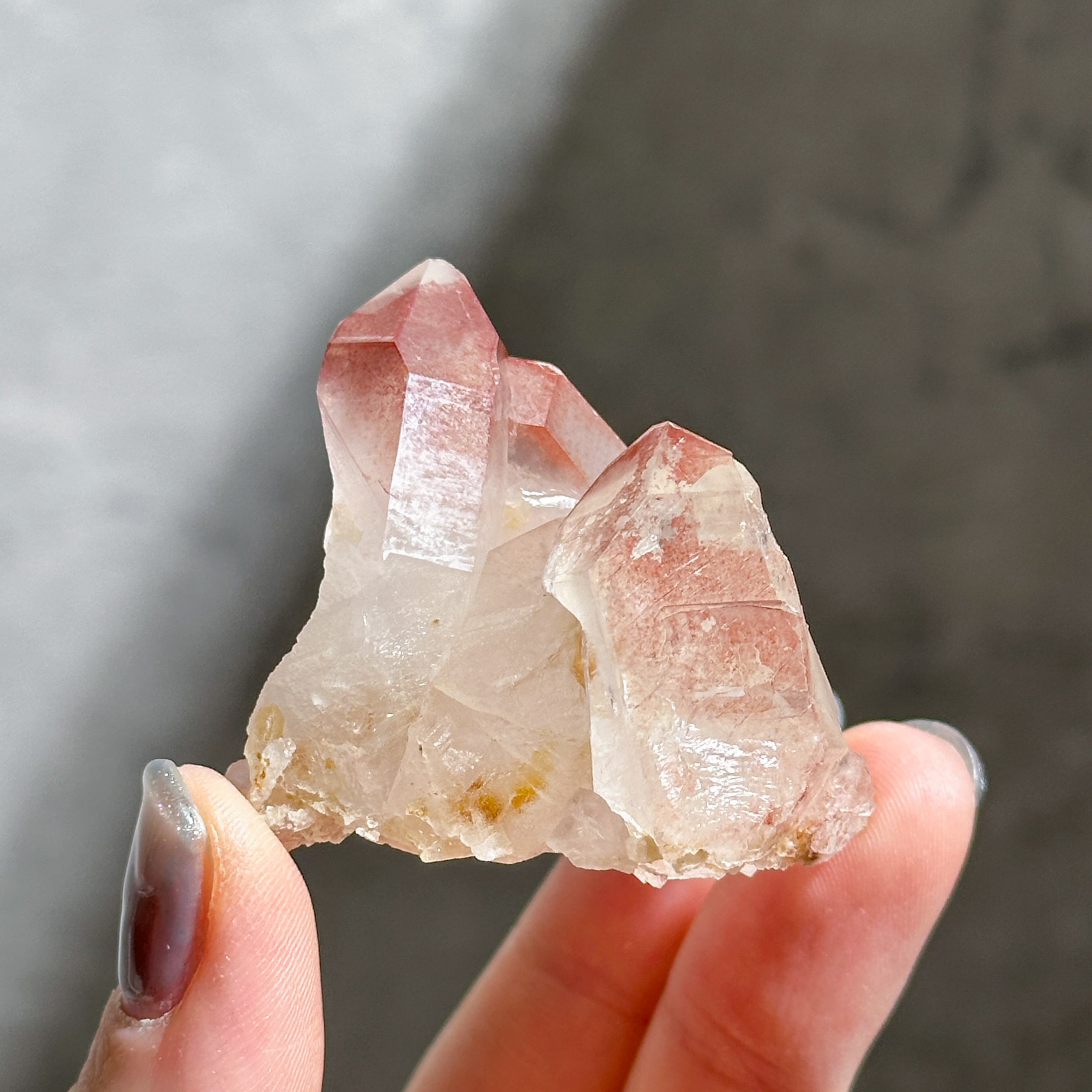 レコードキーパー有り◎ディアマンティーナ産ピンクレムリアン