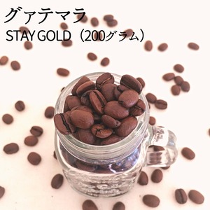 グァテマラ(Stay Gold) 200g 豆のまま or 粉に挽いて