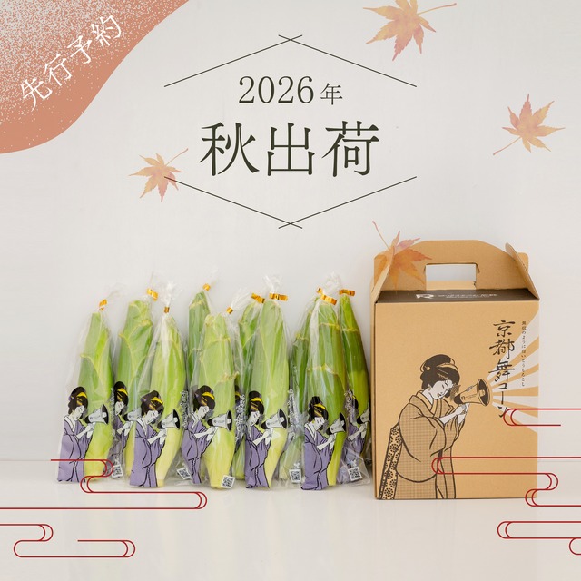 【 2026年秋出荷 】 ”京都舞コーン” 10本入
