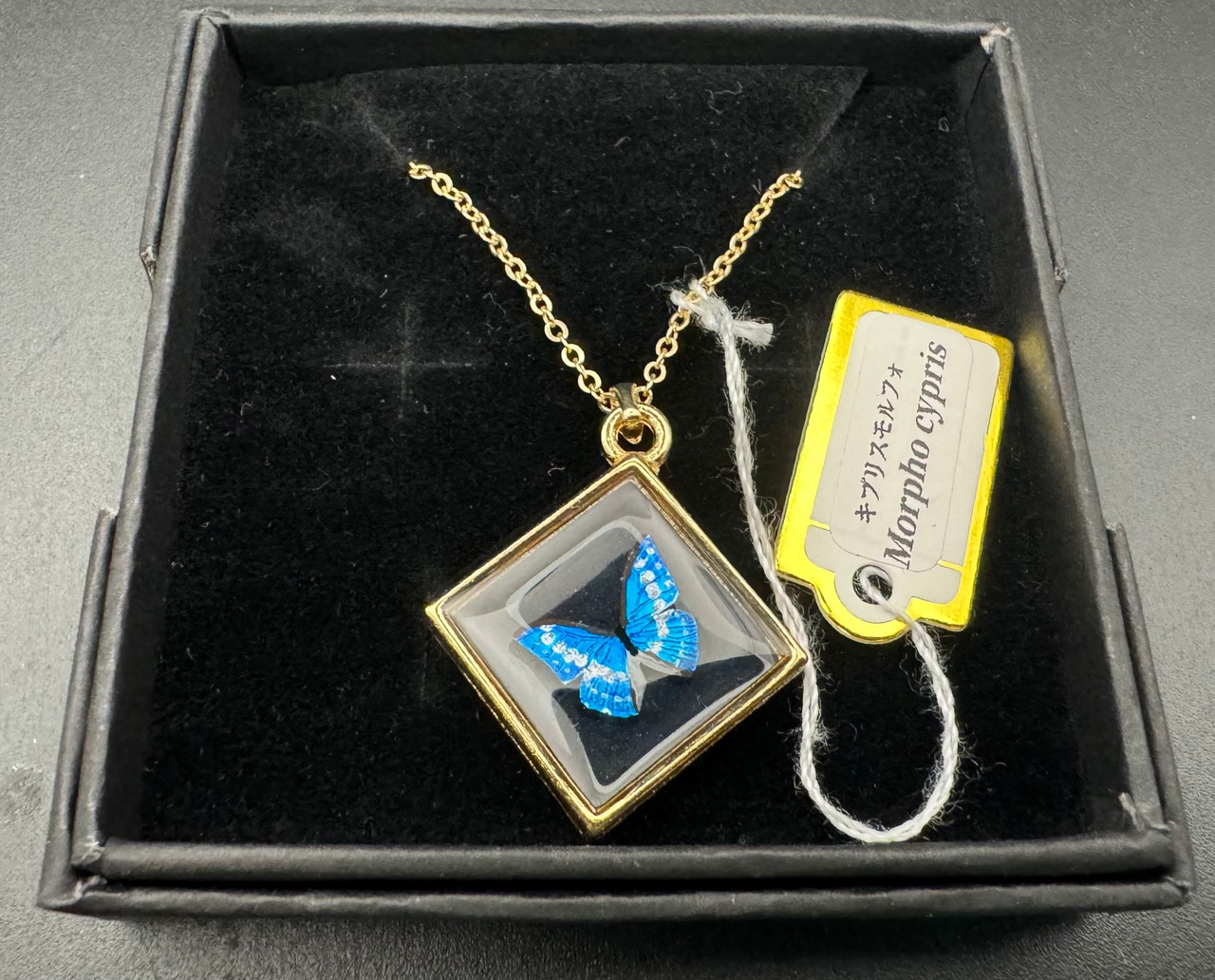 手書きネックレス(キプリスモルフォ)