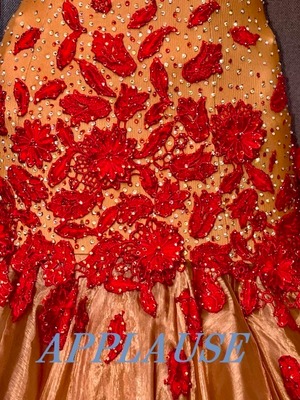 【新着】社交ダンス ドレス　スタンダード　モダンドレス　シャイニーブラウン＆レッド　M　ST-22-42　デモ・競技用ドレス　発表会衣装　パーティドレス　ワンピース　舞台衣装