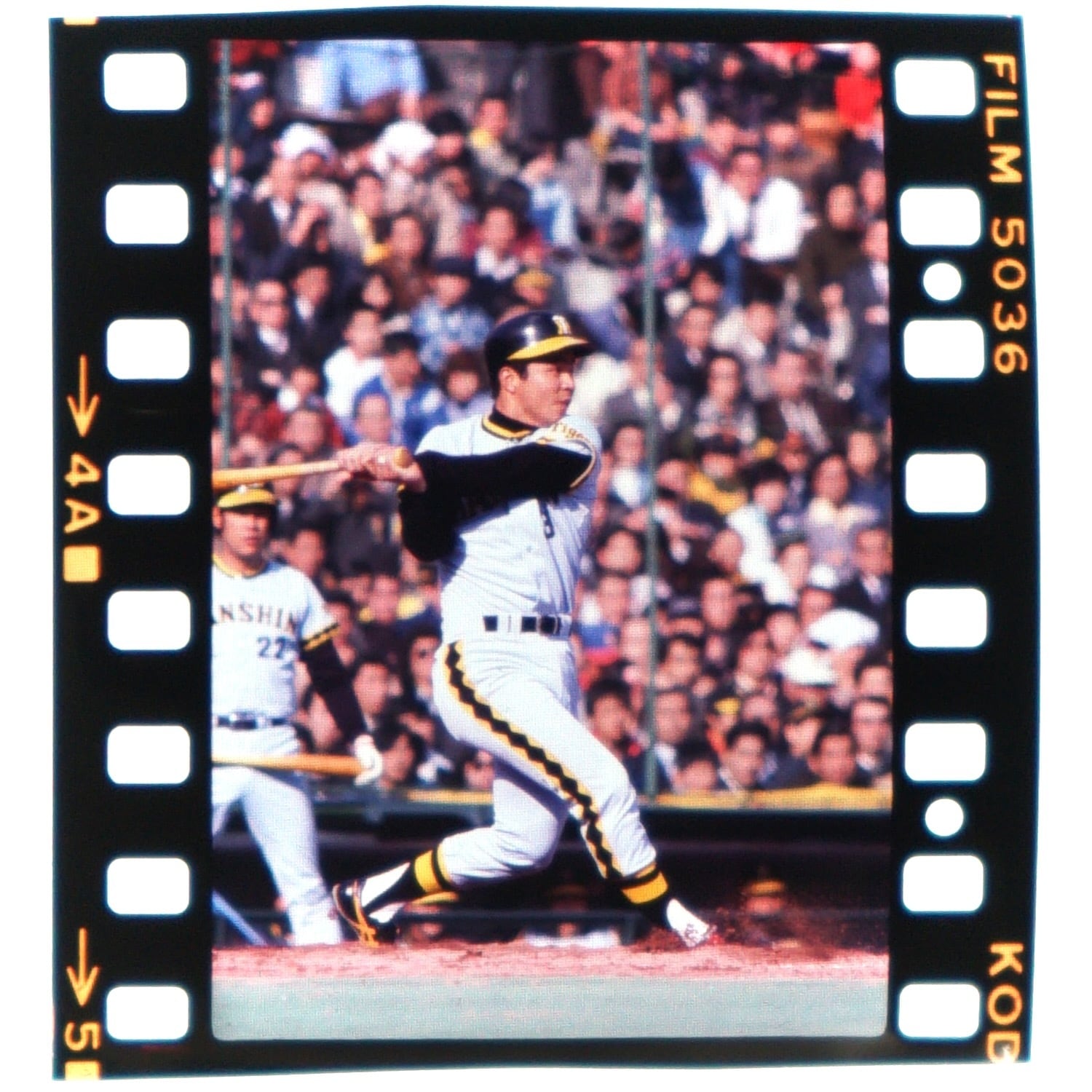 2462G2 長嶋茂雄 王貞治 読売ジャイアンツ 1970年代 プロ野球 古写真