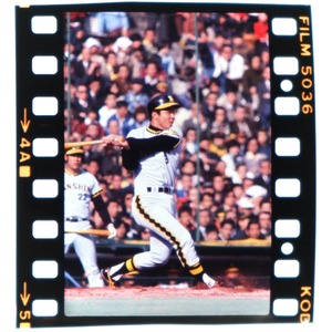 2448G2 掛布雅之 阪神タイガース 1970年代 古写真 35mm ポジフィルム プロ野球 昭和レトロ ヴィンテージ