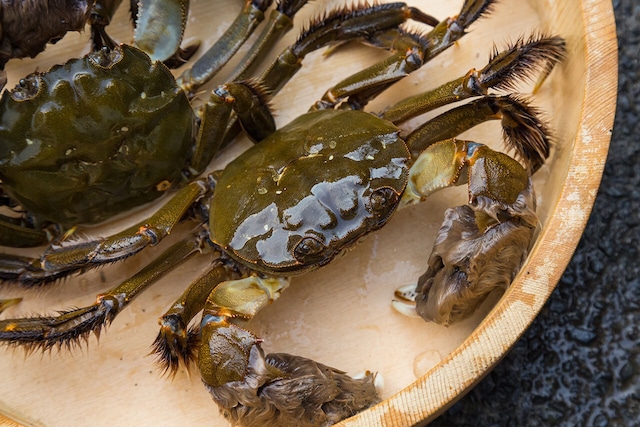 四万十川天然　つがに醤油煮込み（モクズカニ）発送期日指定不可