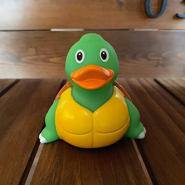 カメダック