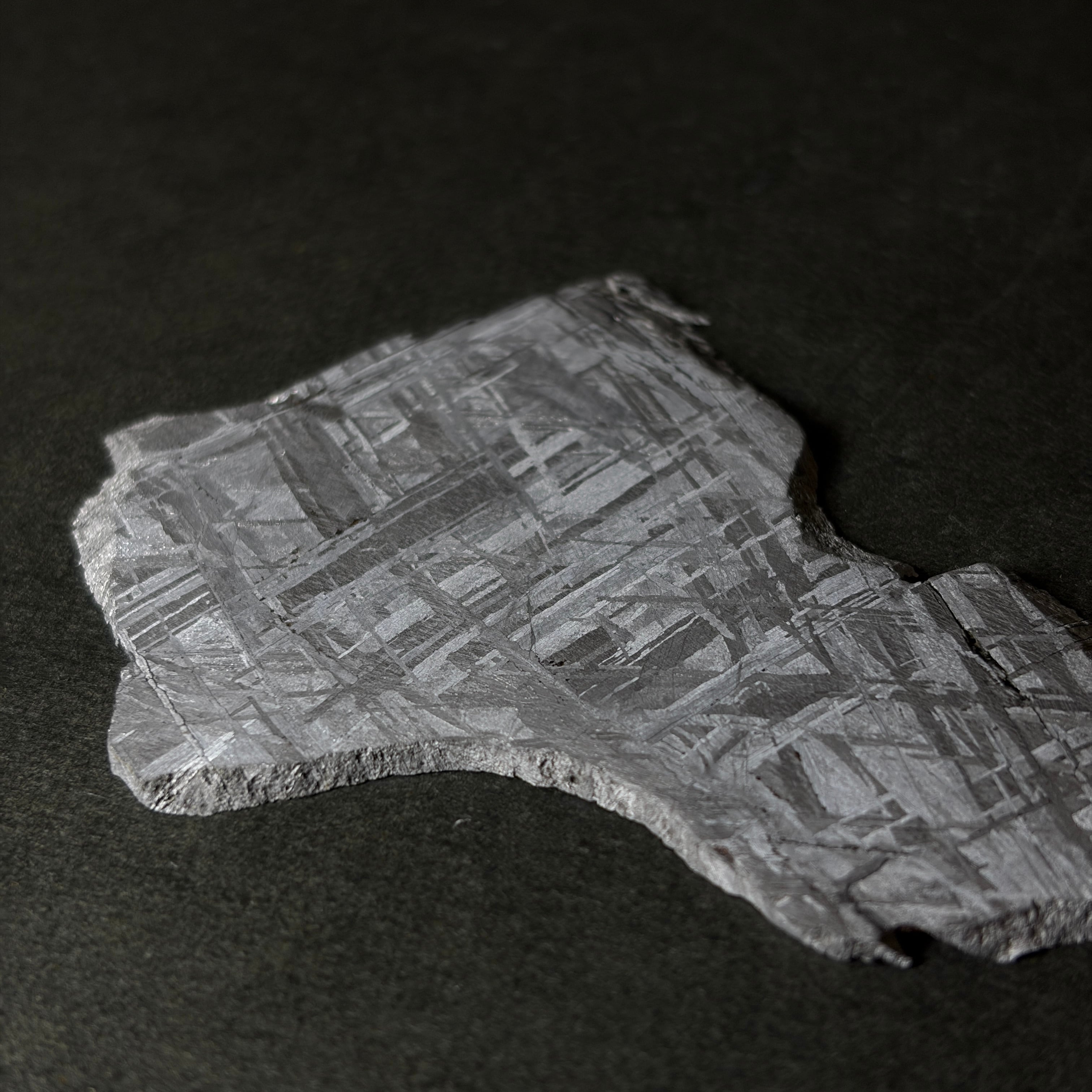 隕石絵画】ギベオン隕石 Gibeon Meteorite 26050601 | 【隕石屋