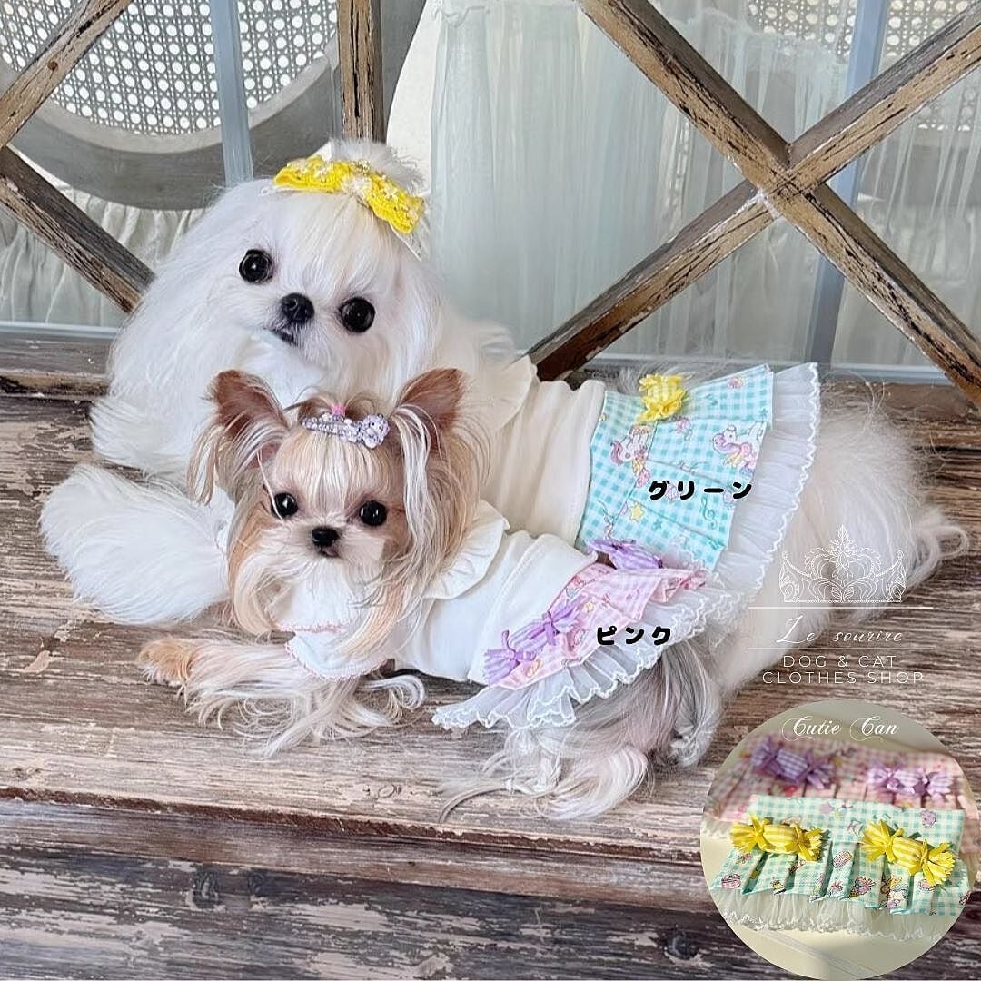 it-dogs スイートフラワーチュチュM itdogs スイートフラワーチュチュ