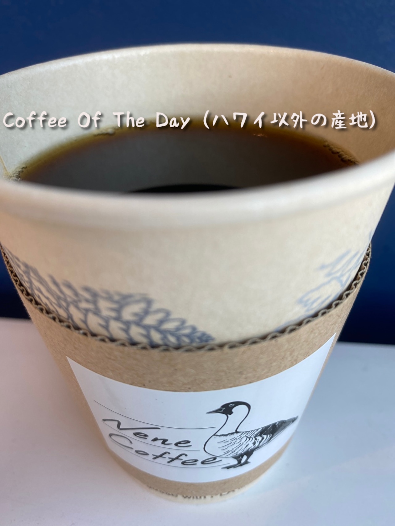 店頭でお渡しドリップコーヒー／Coffee Of The Day（TALL) （ホットかアイス）