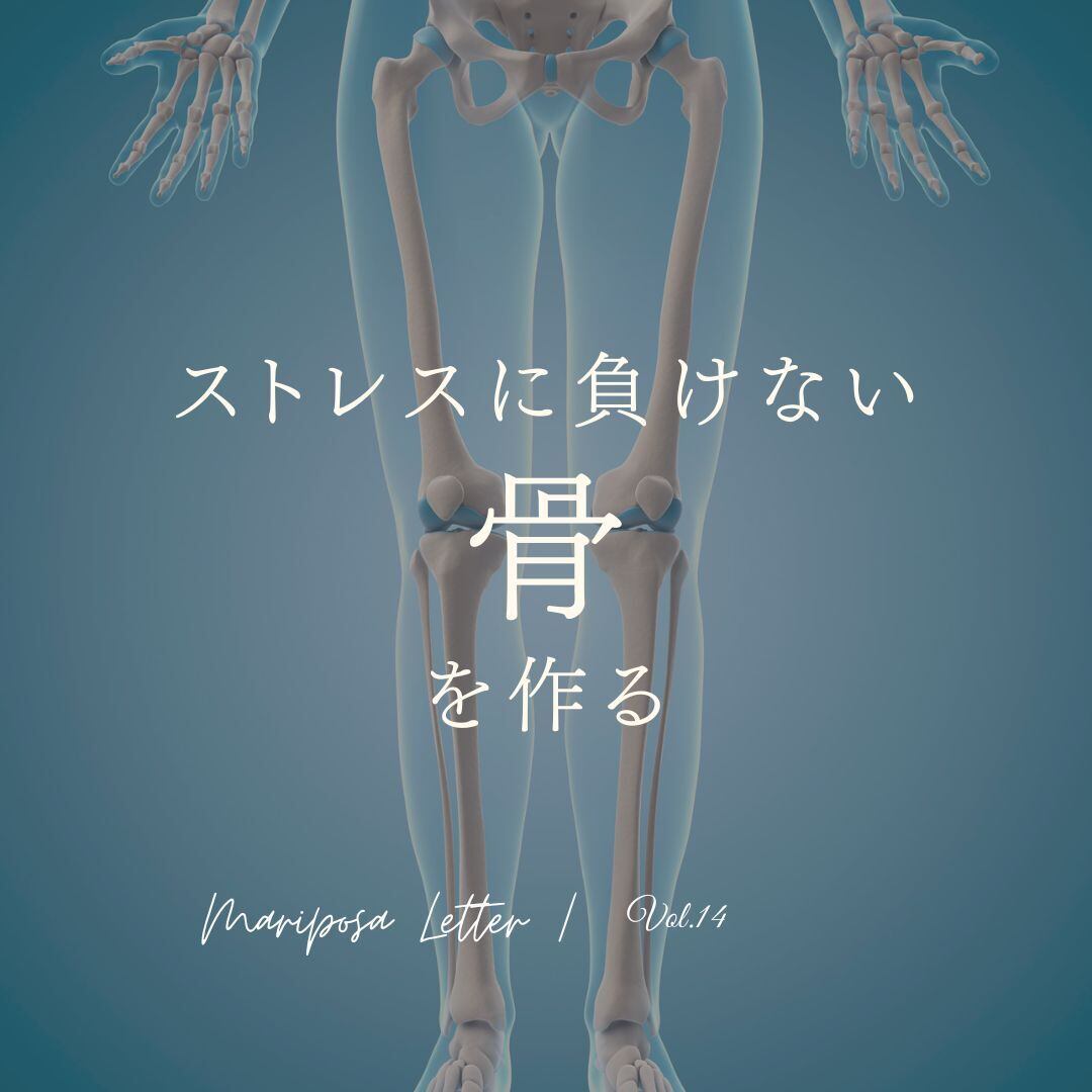 MARIPOSA Letter vol.14「ストレスに負けない "骨"を作る」