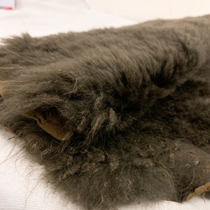 ムートン　羊の毛皮　M4-013