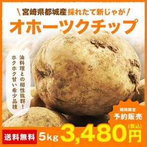 「増量キャンペーン」 じゃがいも 5kg　新じゃが　オホーツクチップ　宮崎県　都城産　ジャガイモ　送料無料