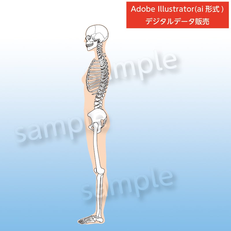 28ca7885f4ac98f7a721da4b5ac031