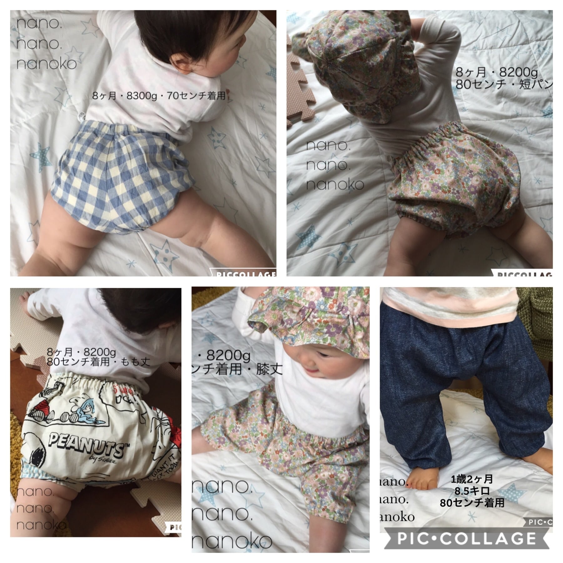 c&s海のブロード かぼちゃパンツ もも丈 | nano.nano.nanoko