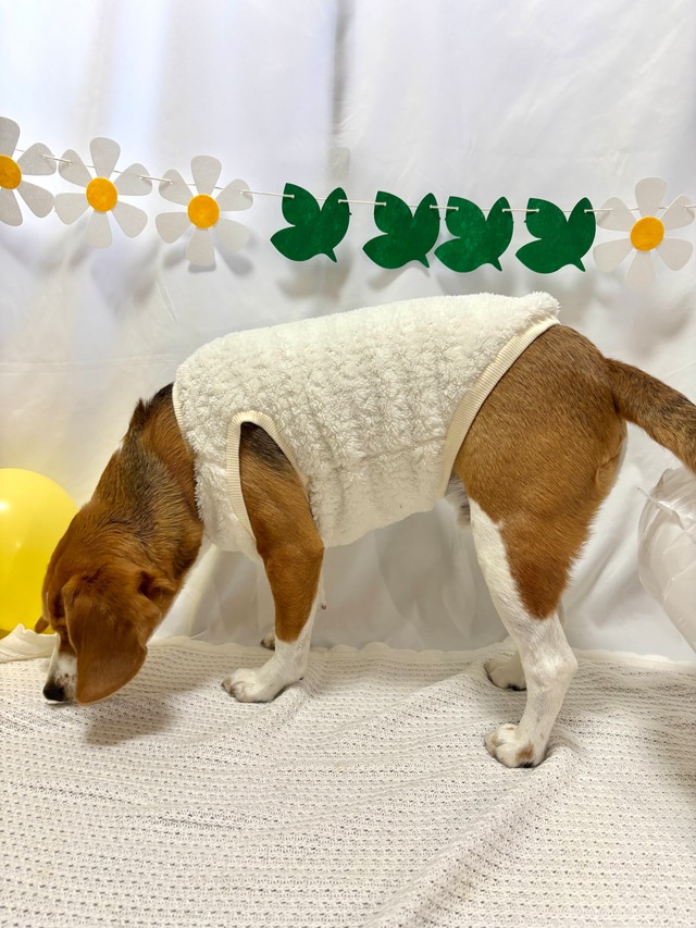 ボアトップス（白・モカ）