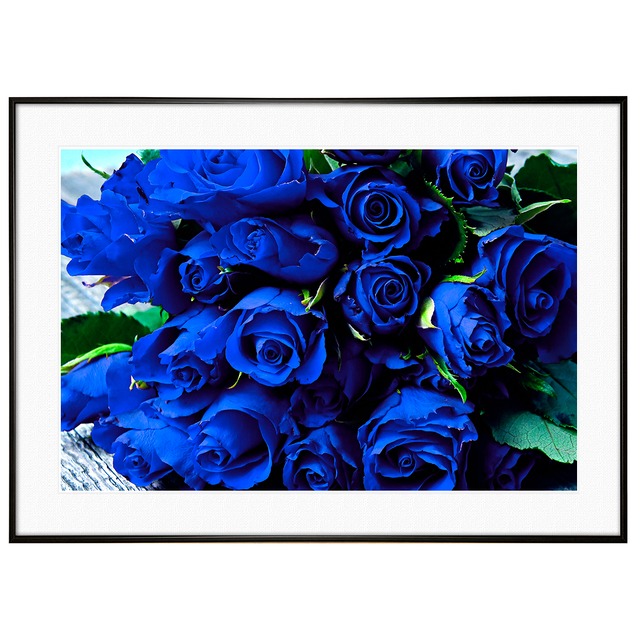 花写真 青いバラ(薔薇・ブルーローズ)  インテリアアートポスター額装 AS2735