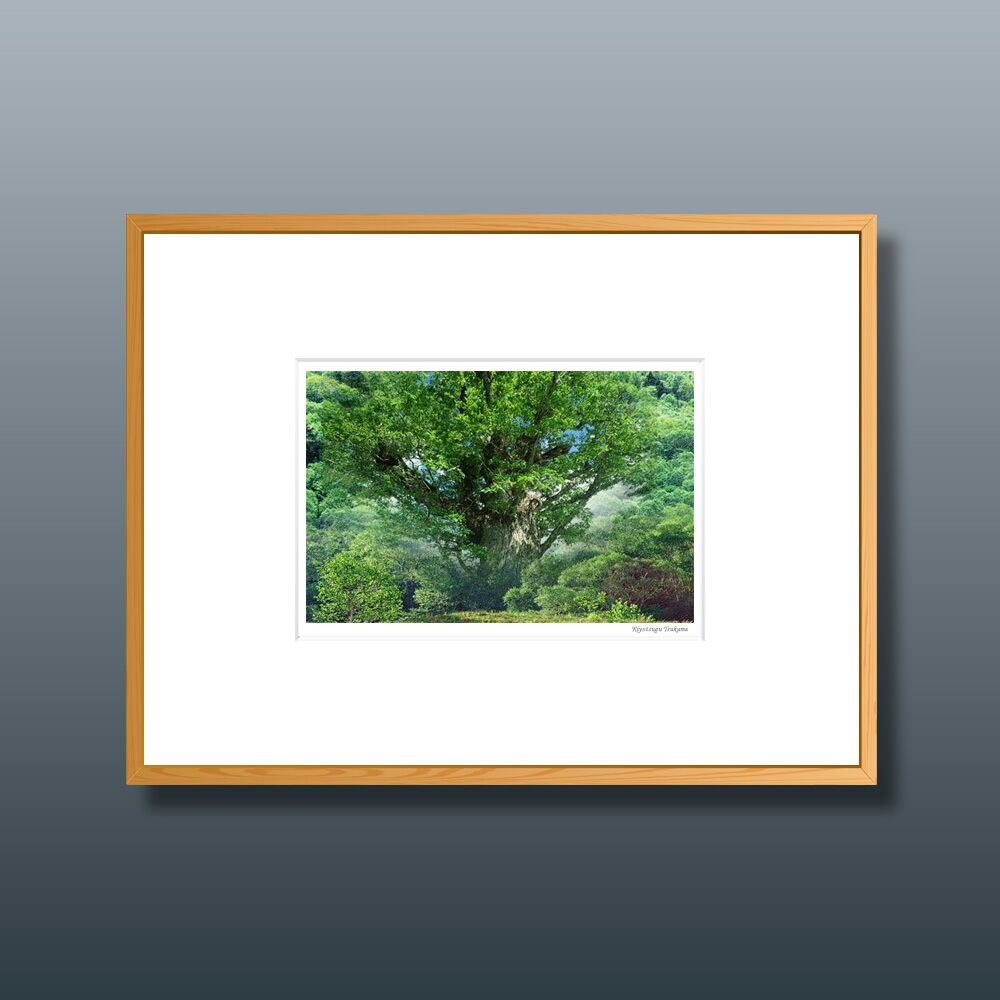 森の扉 #16 ■額縁サイズ(八切判)303㎜×242㎜