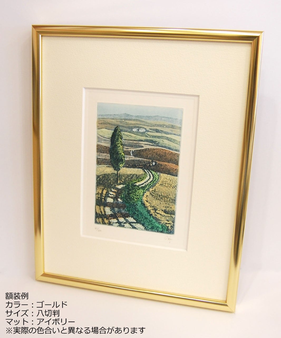 水彩額BH-15F三三判 454×605ミリ | 額縁の専門店アートフレーミングアイガ