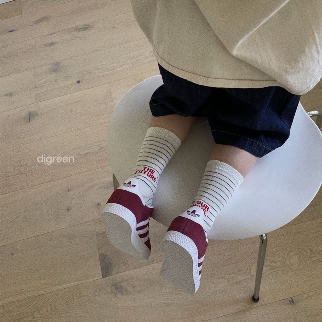 〘予約〙digreen / socks_future