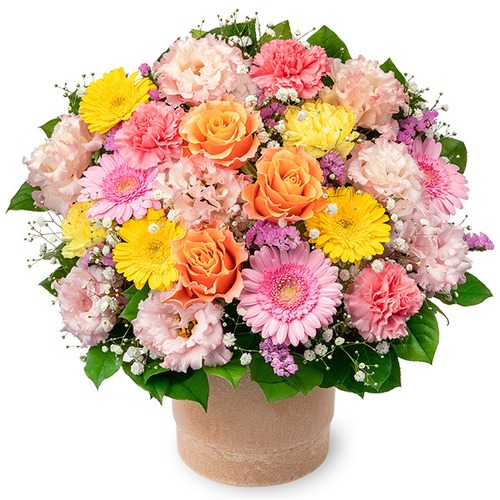 11月オススメ商品⑩　アレンジメント