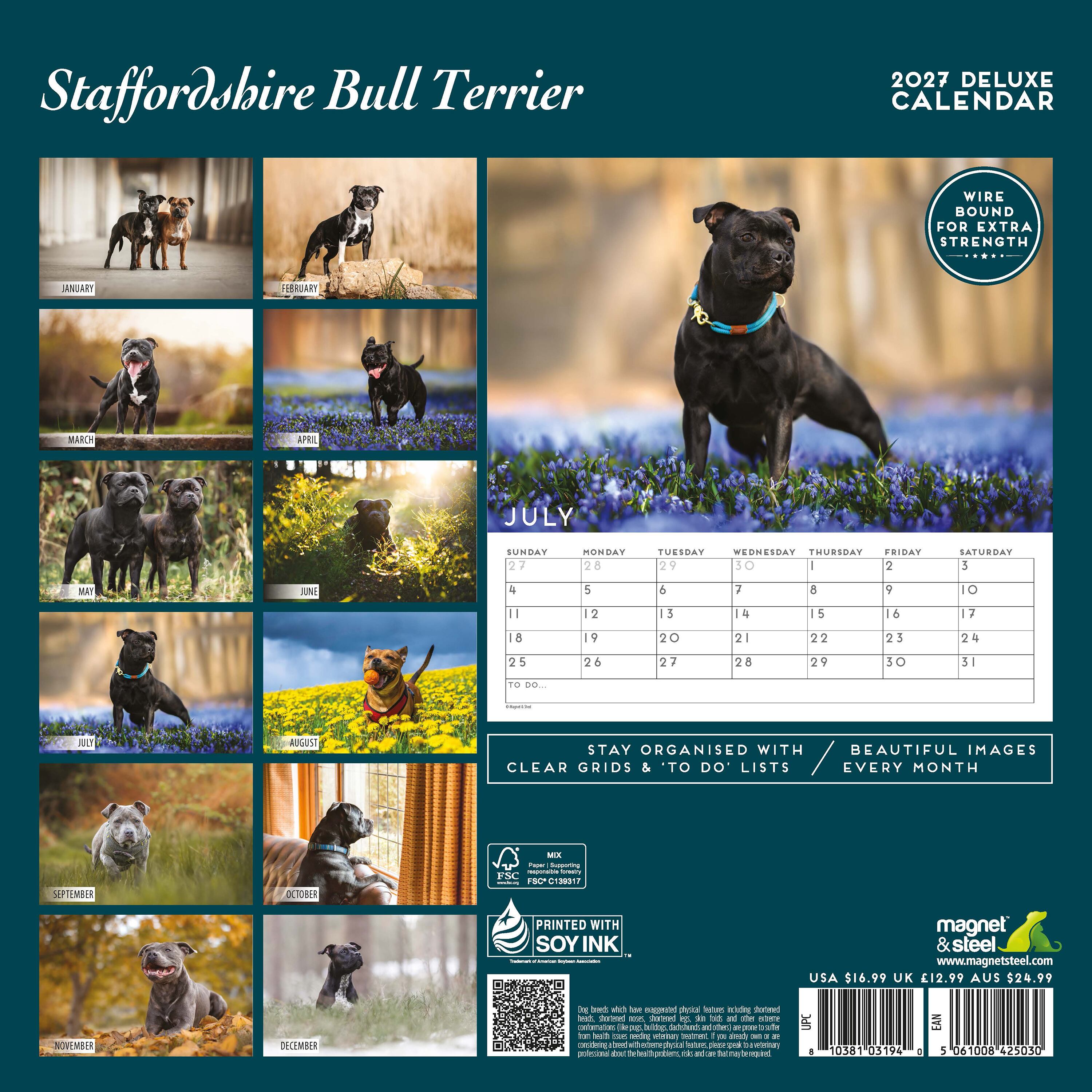 【2027年版】英国製犬種カレンダー【スタッフォードシャー・ブル・テリア】DELUXE 2027年版