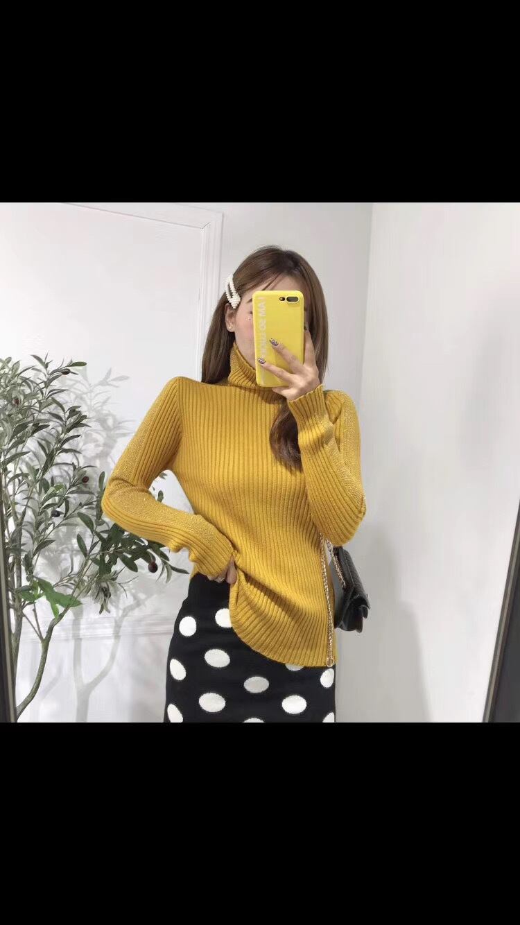 タートルネックリブニット