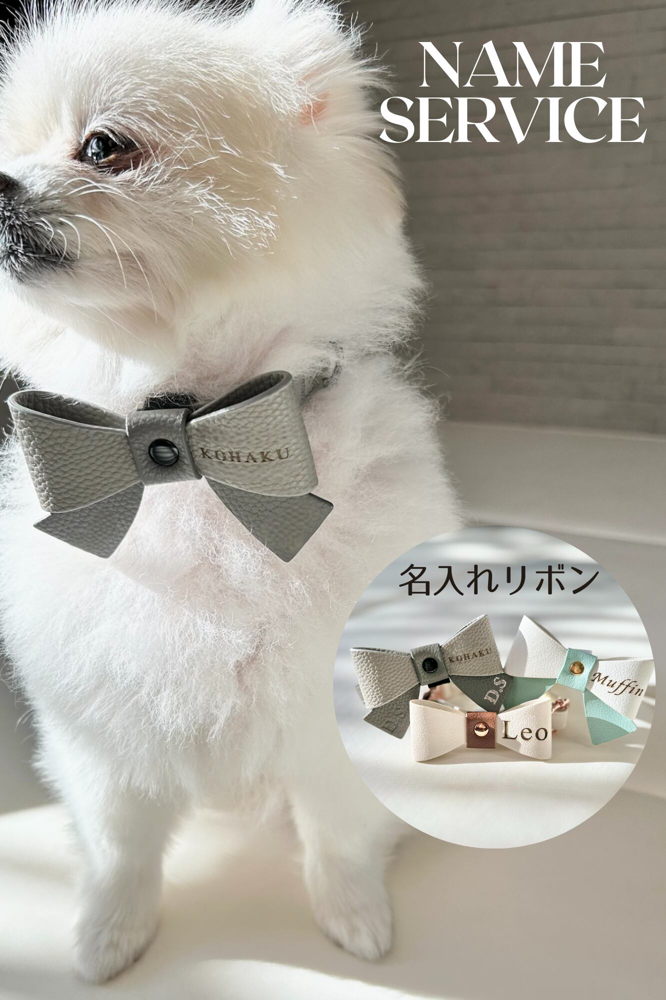 名入れカラー4点SET|選べるリボン付き(Grey) | DoggyWiz