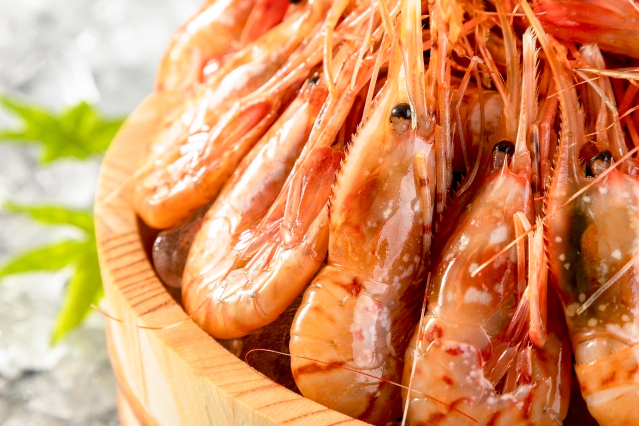 ぼたんえび 2kg【冷凍】 | オホーツク紋別マルカイチ水産