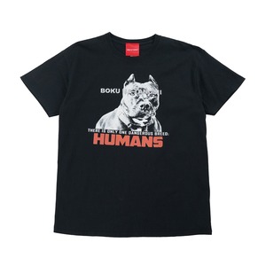 BOKUTANO on USED